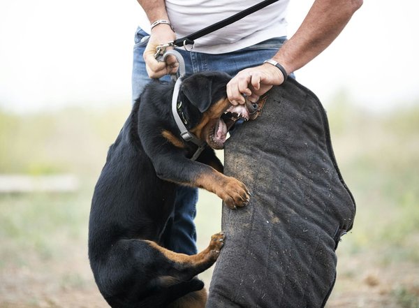 How to properly install a child car seat in your vehicle in the UK?